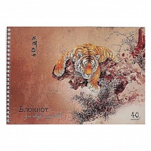 Блокнот для эскизов 40л спираль Тигр 80г/м2 Канц-Эксмо БС4079