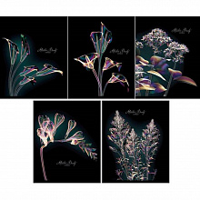 Тетрадь  48л клетка Мерцающие лепестки Канц-Эксмо, ТКГ2Л485748