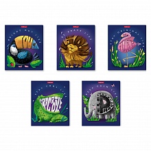 Тетрадь  48л клетка Будь круче! Erich Krause, 52954