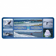 Магнит Териберка 60х148мм киты МГНП3-06