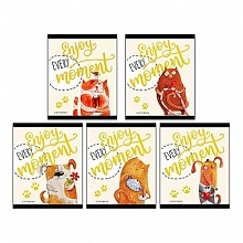 Тетрадь  48л клетка Милые животные Проф-Пресс ТМ Collezione, 48-1409