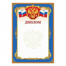 Диплом ИЗО, 1037-09