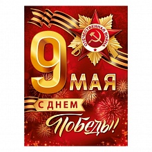 Плакат 9 Мая! С Днем Победы! 22.119.00 ИП