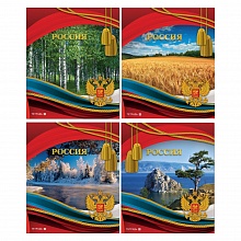 Тетрадь 48л клетка Полином, 2706