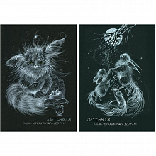 Блокнот для зарисовок А4 20л Sketchbook Black Полином 2823