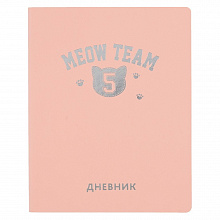 Дневник универсальный 48л Meow Silver Lines Канц-Эксмо ДИКФ214801
