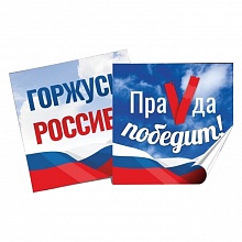 Набор наклеек на авто 2шт Горжусь Россией ПраVда победит Орландо, 032001накл19005