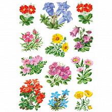 Наклейки Горные цветы HERMA DECOR 3582