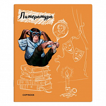Тетрадь предметная Литература 48л линия ФЕНИКС, 52183