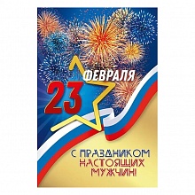 Открытка А5 23 Февраля Мир поздравлений 023.749