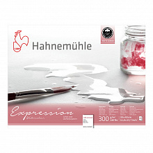 Альбом для акварели А4 10л Hahnemuhle Harmony 300г/м2 целлюлоза 100% крупное зерно 10628842