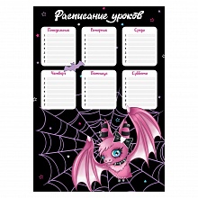 Расписание уроков А4 Гламурная мышка Феникс, 63536/К