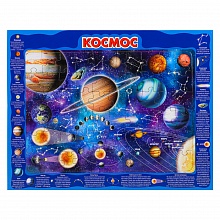 Пазлы 60 элементов Космос в рамке Рыжий кот П60-8738