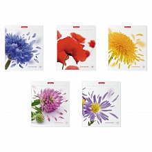 Тетрадь  48л клетка Unique&Beautiful Erich Krause, 52541