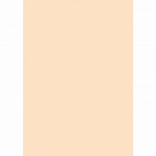 Бумага для офисной техники цветная А4 80г/м2 50л оранжевая пастель Крис Creative, БПpr-50ор
