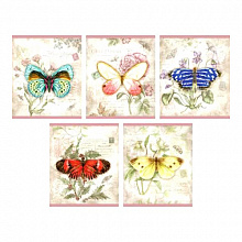 Тетрадь  48л клетка Чудесные бабочки Канц-Эксмо, ТКФБ484314