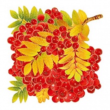 Украшение Рябина 29.793.00 ИП