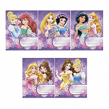 Тетрадь 24л линия Princess Академия, D3385/5