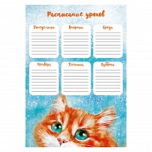 Расписание уроков А4 Рыжий котик Феникс, 63537/К