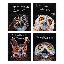 Тетрадь  48л клетка ассорти Эмоциональные совы Полином, 3210            