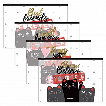 Папка-конверт на молнии B5 ассорти Feline Friends Erich Krause, 54916