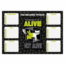 Расписание уроков А4 Научный-кот Феникс, 63550/К