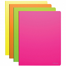 Папка с пружинным скоросшивателем А4 Erich Krause Glance Neon ассорти 42963