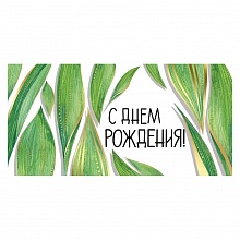 Открытка конверт для денег С Днем Рождения Империя поздравлений, 38.861.00