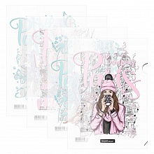 Папка-угол А4 пластик 0,16мм ассорти Dreamy Girls Erich Krause, 54894