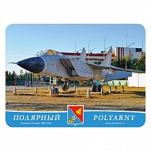 Магнит Полярный 63х85мм самолет МГНМО2-06