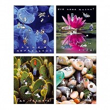 Тетрадь  48л клетка ассорти Жизнь человечков Полином, 3208             