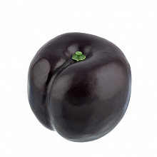 Муляж Слива 5х5,5см Blumentag MDL-01 08