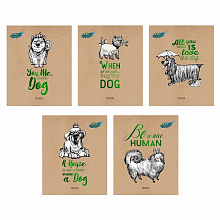 Тетрадь  48л клетка Собака - друг человека DIY Collection ассорти Канц-Эксмо ТКФЛ486783