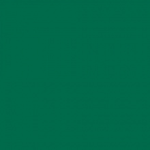 Картон А4 зеленый еловый 300г/м2 FOLIA (цена за 1 лист) 614/1058