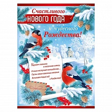 Плакат А2 Счастливого Нового года и чудесного Рождества Империя поздравлений 22.151.00	 