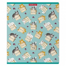 Тетрадь  48л клетка Cat & Box Erich Krause, 49609