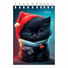 Блокнот А6 48л спираль клетка Котенок в колпачке КТС-ПРО, С0115-122