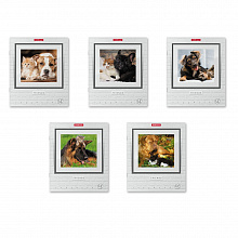 Тетрадь  48л клетка Дружба Erich Krause, 49635