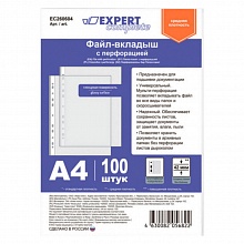 Папка-карман с перфорацией А4 42мкм глянец Expert Complete 100шт (цена за упак.) EC260604