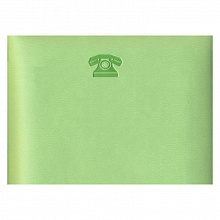 Алфавитная книжка 115х80мм 50л салатовый кожзам Виннер Феникс 30432
