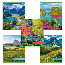 Тетрадь 48л клетка Дикий мир Hatber ECO офсет №2 ЭКОНОМ, 48Т5D1