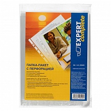 Папка-карман с перфорацией А4 42мкм глянец Expert Complete 50шт (цена за шт.) 220403