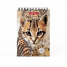 Блокнот А6 60л спираль клетка Wild Cat Erich Krause, 49667