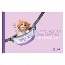 Альбом для рисования А4 40л склейка Котик Феникс 60381