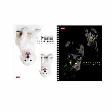 Тетрадь спираль  80л клетка Собака-кот перевертыш Hatber, 80Тд5С1гр_06670 