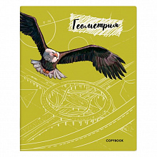 Тетрадь предметная Геометрия 48л клетка ФЕНИКС, 52172