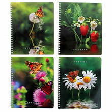 Тетрадь спираль  80л клетка Рай для бабочек ПЗБМ, 80OG5M5PFB