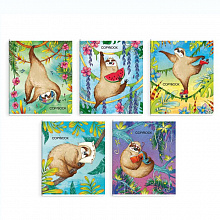 Тетрадь  48л клетка Ленивцы ФЕНИКС 50234