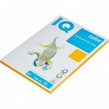 Бумага для офисной техники цветная А4 80г/м2 100л старое золото класс А IQ Color, AG10