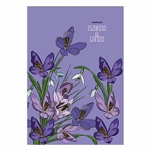 Записная книжка А5 80л клетка Крокусы КТС-ПРО, С0379-113